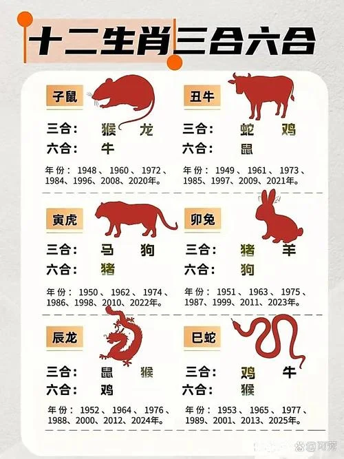 鸡跟牛的属相合吗_2