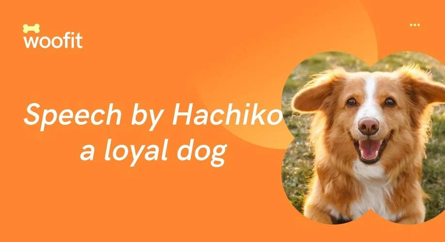 看完忠犬八公后的感悟_1