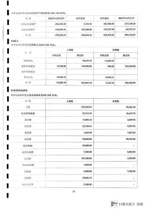财务审计报告在哪里查_1