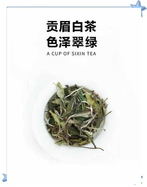 白茶出自我国哪一省_1