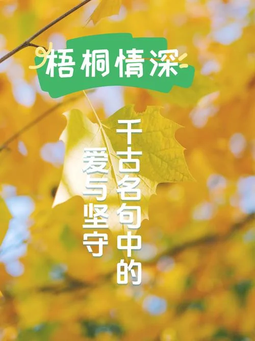 疏雨滴梧桐出自_1