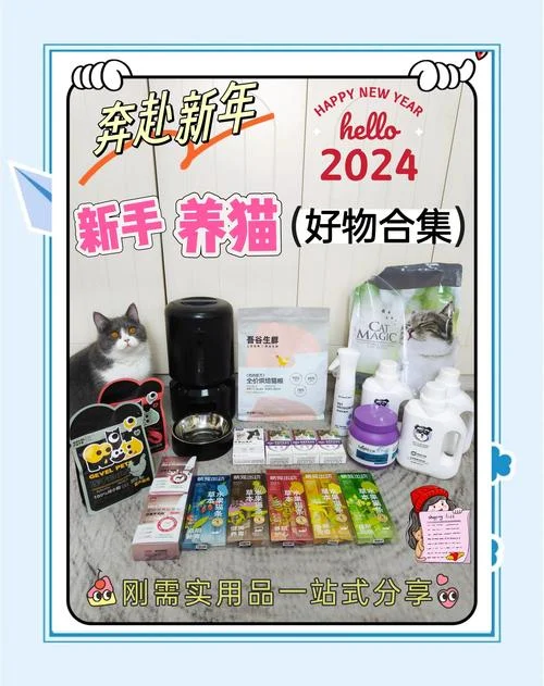 买猫注意什么_1