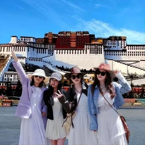 西藏旅游攻略10天费用_2