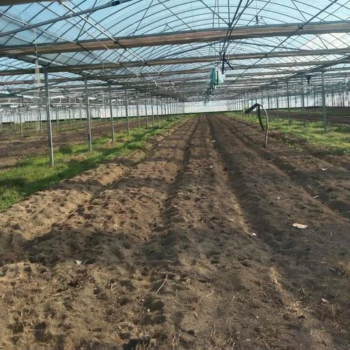 连栋大棚大概多少钱一亩_2