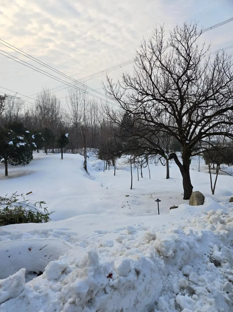 梦见白茫茫的一片雪地-雪地茫茫梦境现