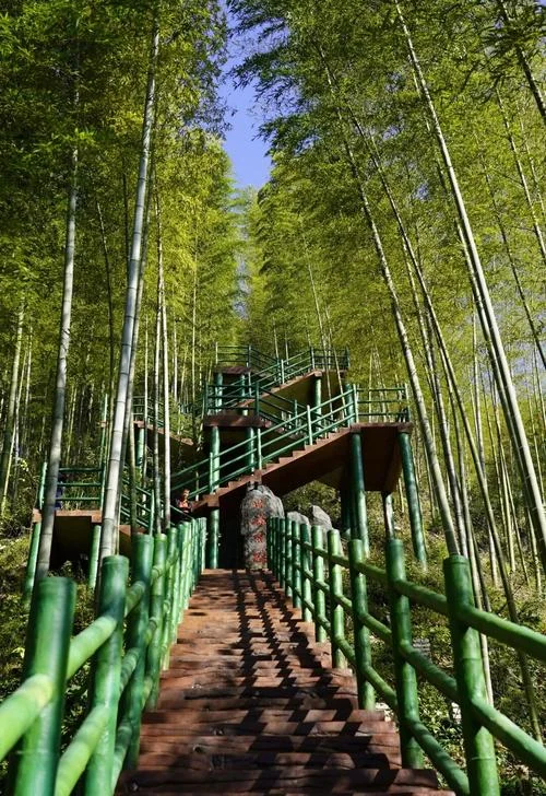 蕲春附近的旅游景点_1