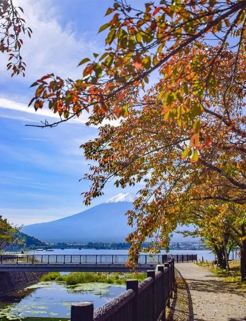 从东京到富士山一日游_1