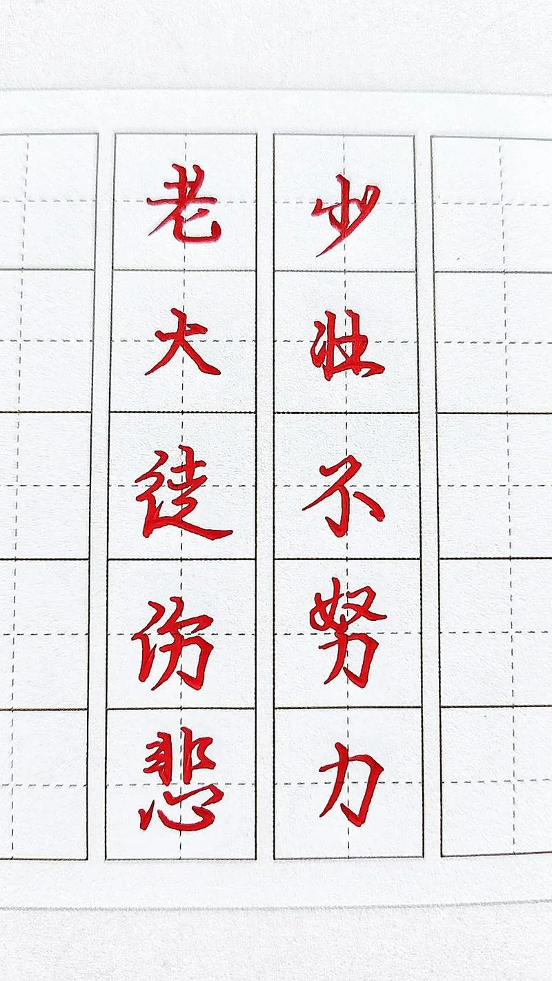 少壮不努力是谁写的_1