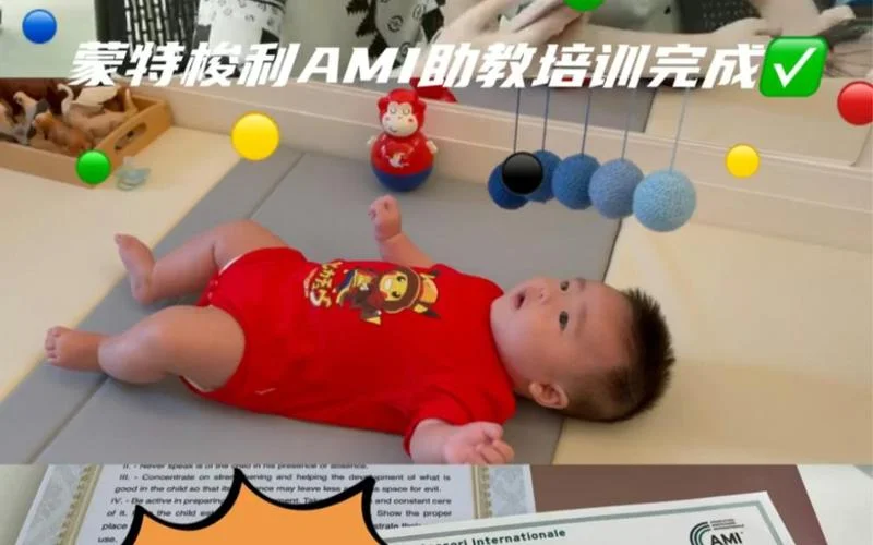 ami蒙特梭利报考条件-蒙特梭利报考条件