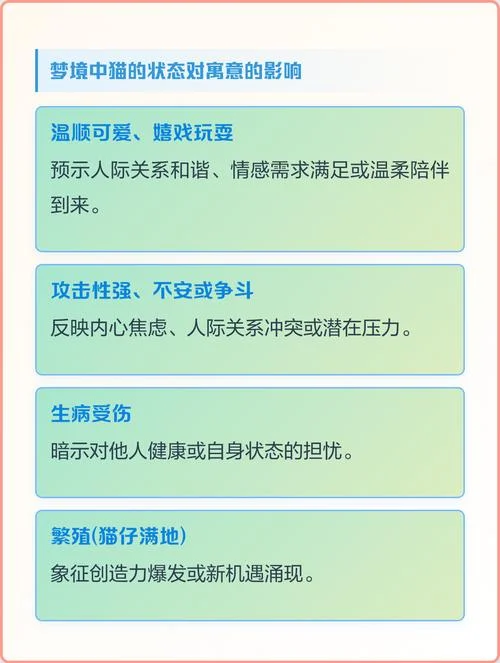 女人梦见很多病猫-女人梦多病猫