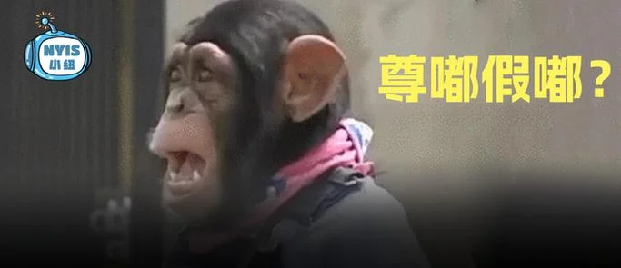 川普限制中国留学生-美限制中国留学生
