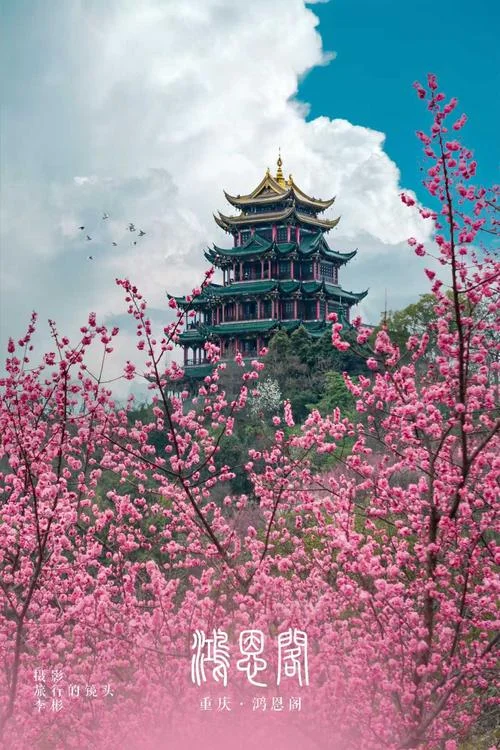 重庆市市花的介绍-
