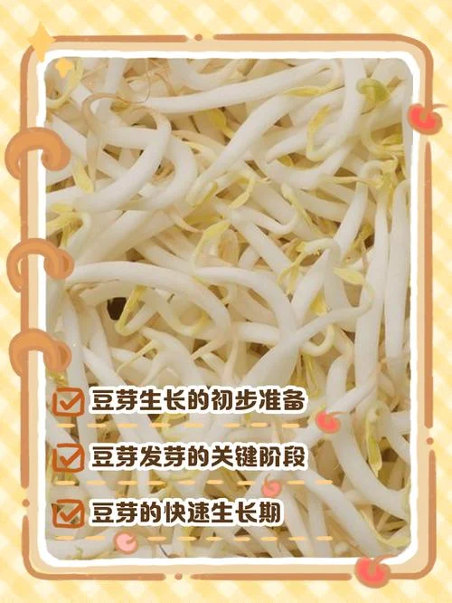 怎么能看出自己发的豆芽烂没烂_1