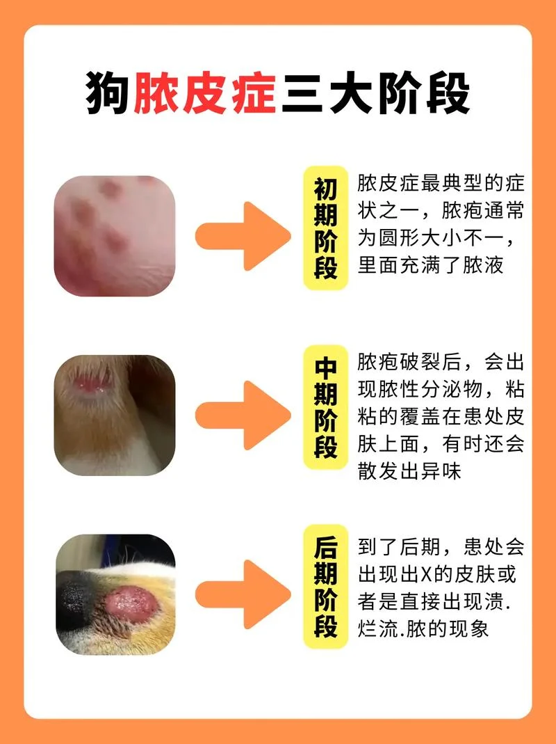 怎么办狗癣身上长-狗癣身上长怎么办