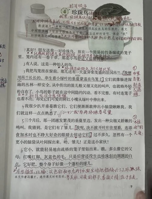 珍珠鸟课文作者是谁_1