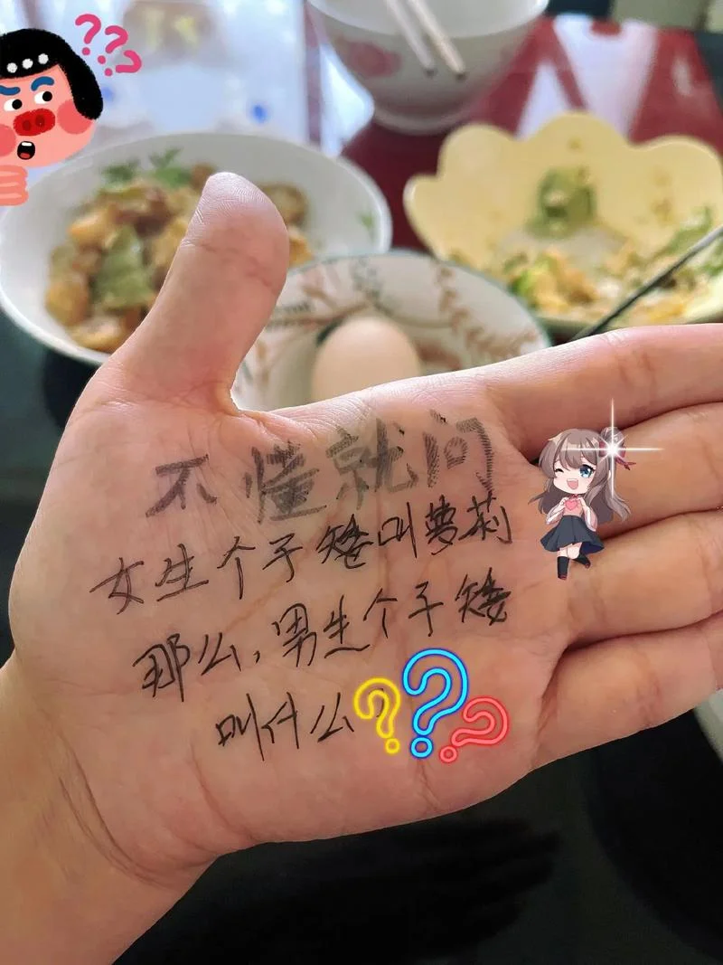 懂叫什么_2