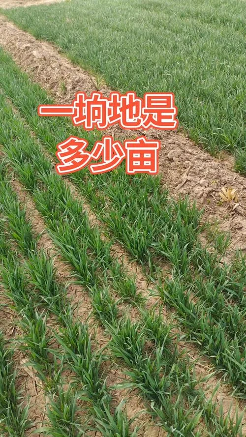 一立方米等于多少亩地_1