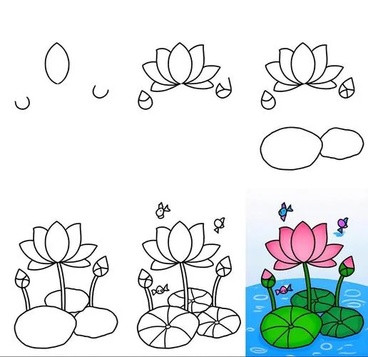 怎么样画荷花-如何画荷