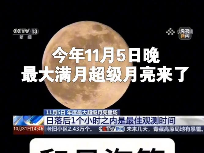 月亮很亮出处_2