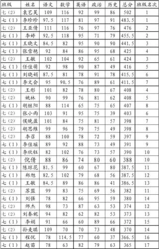 初中期中考试成绩_2