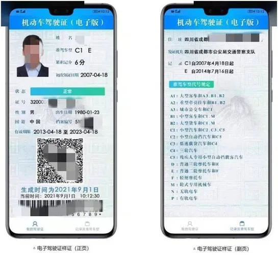 怎么查电子驾驶证_2