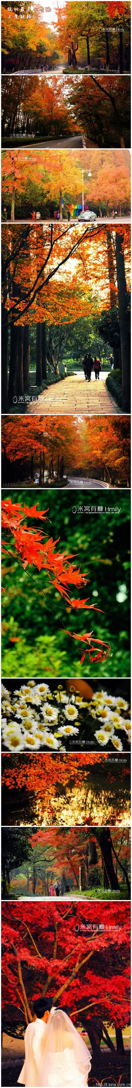 杭州过去30天历史2345_1