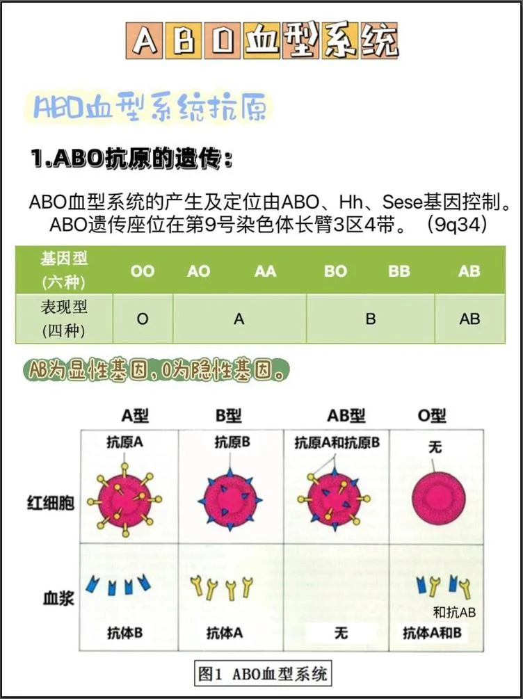 查血型在哪里查_2