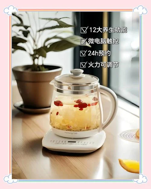 哪个牌子的养生壶最好_2