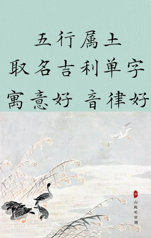 八字起名缺土男孩-缺土男孩八字起名