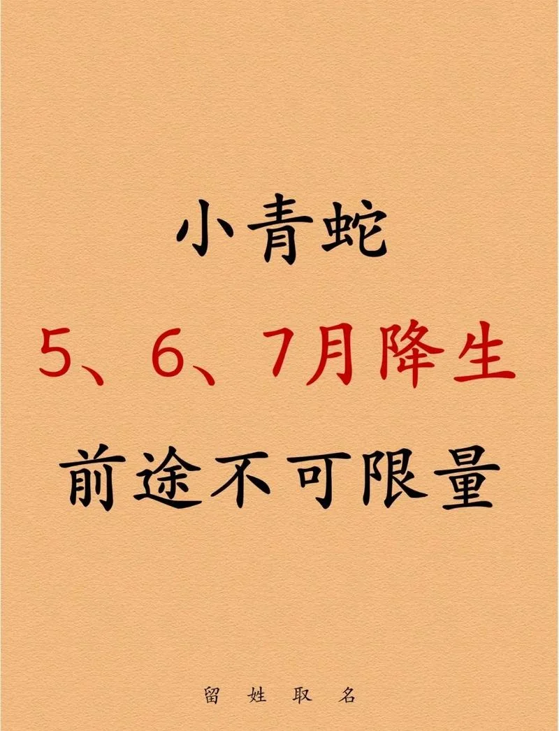 梦见很多蛇是什么预兆-梦见蛇群预示吉凶