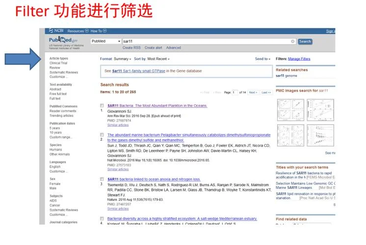 本地pubmed上如何查综述_1