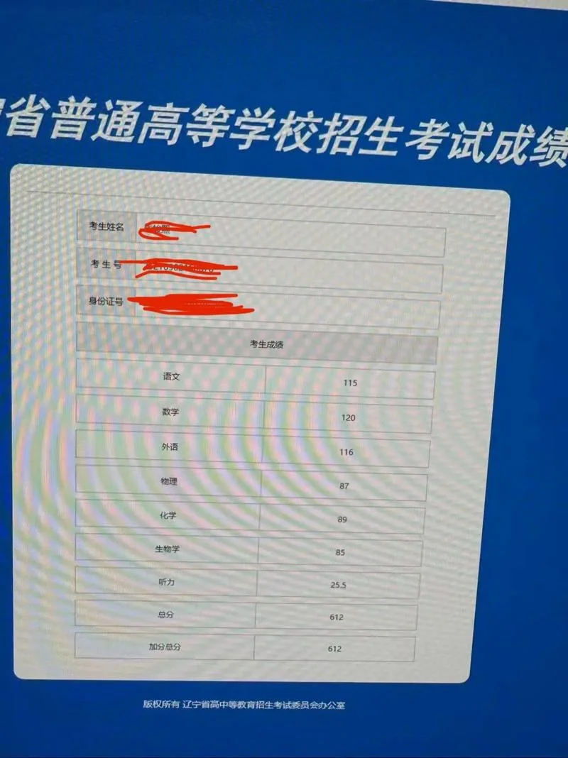 高考成绩查询往届山东_1