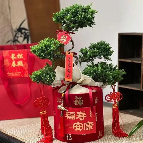 老人过生日送什么盆栽_2