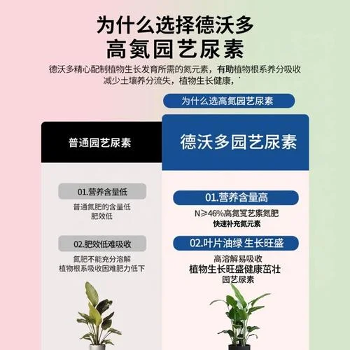 速效氮肥养花怎么用_1