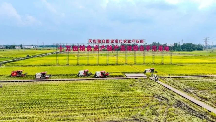 种植基地一般多少亩_1