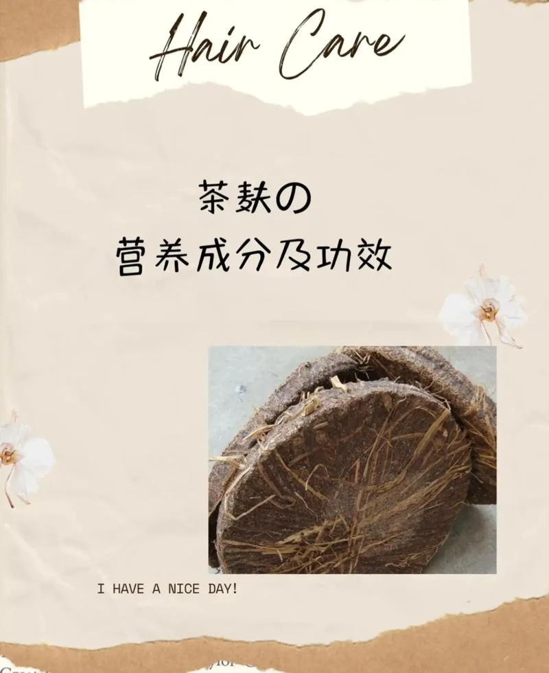 茶油精是干什么用的_1