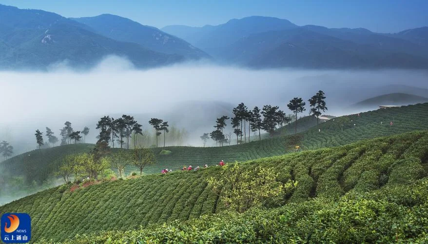 湖北通山旅游景点推荐_1