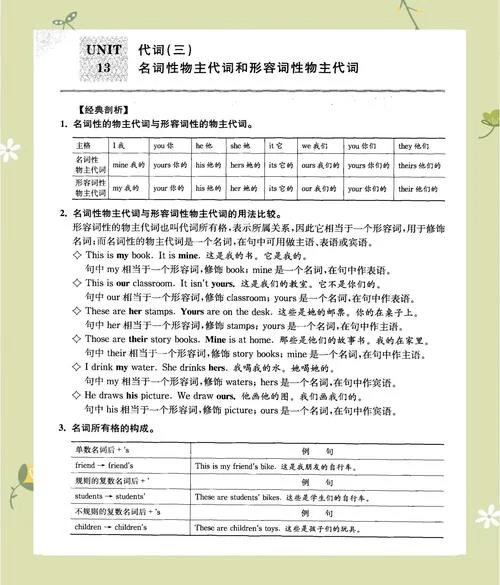 什么是物主性代词_1