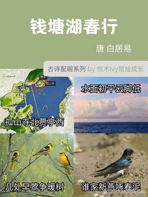 钱塘湖春行的作者是谁_1