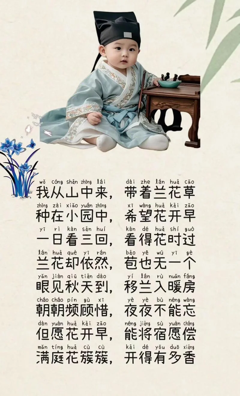 兰花草歌词出处_2