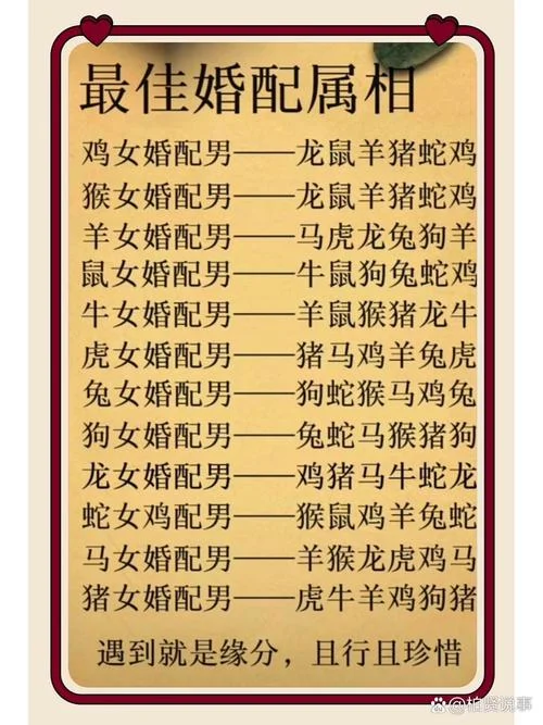 46岁属相婚配_2
