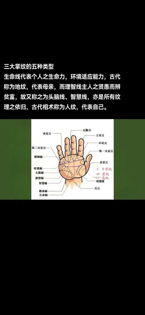 手相生男生女_1