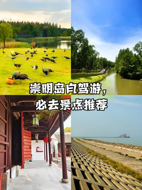 崇明岛农家乐日游-崇明岛农家乐一日游