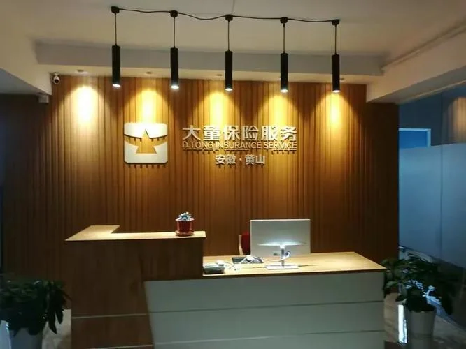 大童保险服务保单托管什么意思_2
