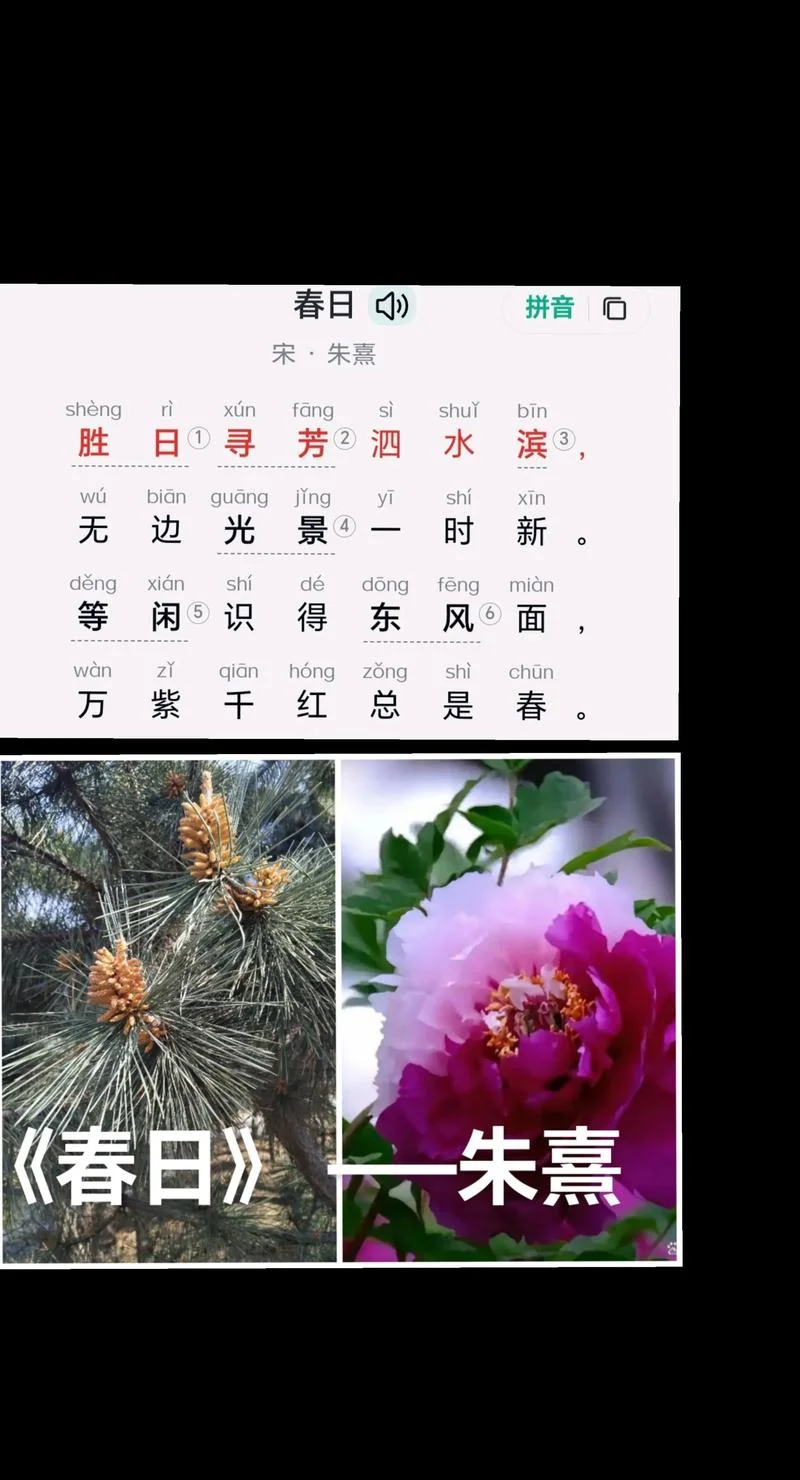 春日的作者是谁怎么读_2