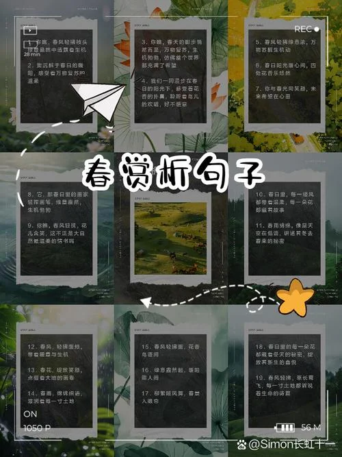 好句赏析及出处_1
