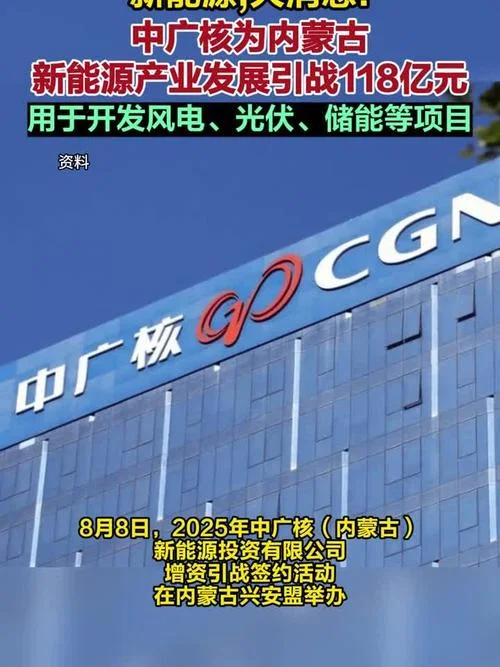 中广核集团投资的项目_1