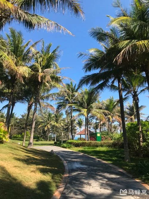 蚂蜂窝旅游攻略用不了-蚂蜂窝攻略无法使用