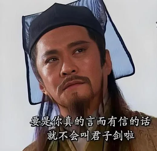 伪君子是谁写的_1