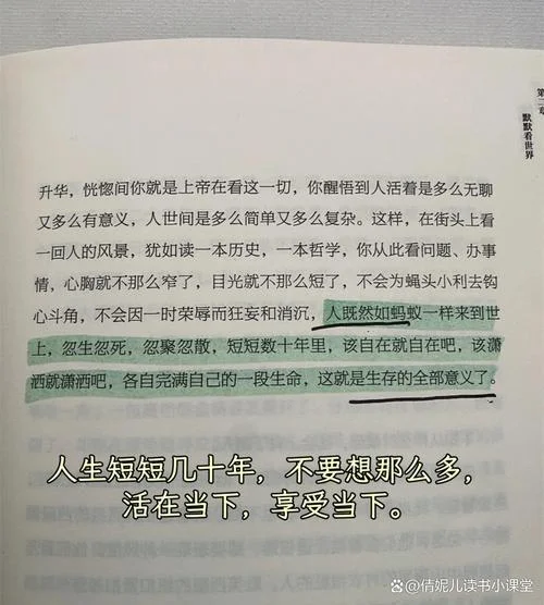 自在独行读后感悟-自在独行感悟